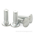 Stainless Steel 304 Metric Carriage Bolts